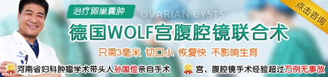¹wolfǻѳ